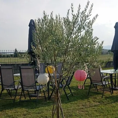 Elodie 산테지디오 알라 비브라타