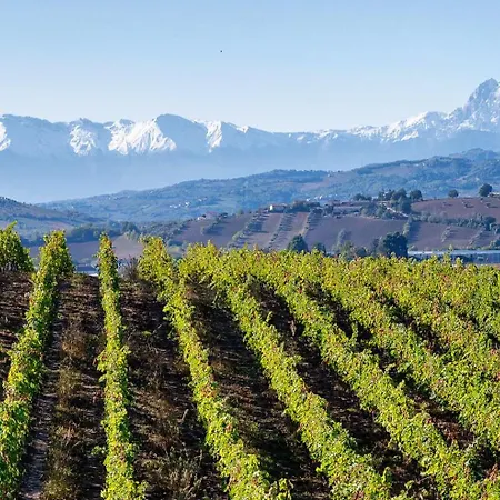 Elodie 산테지디오 알라 비브라타